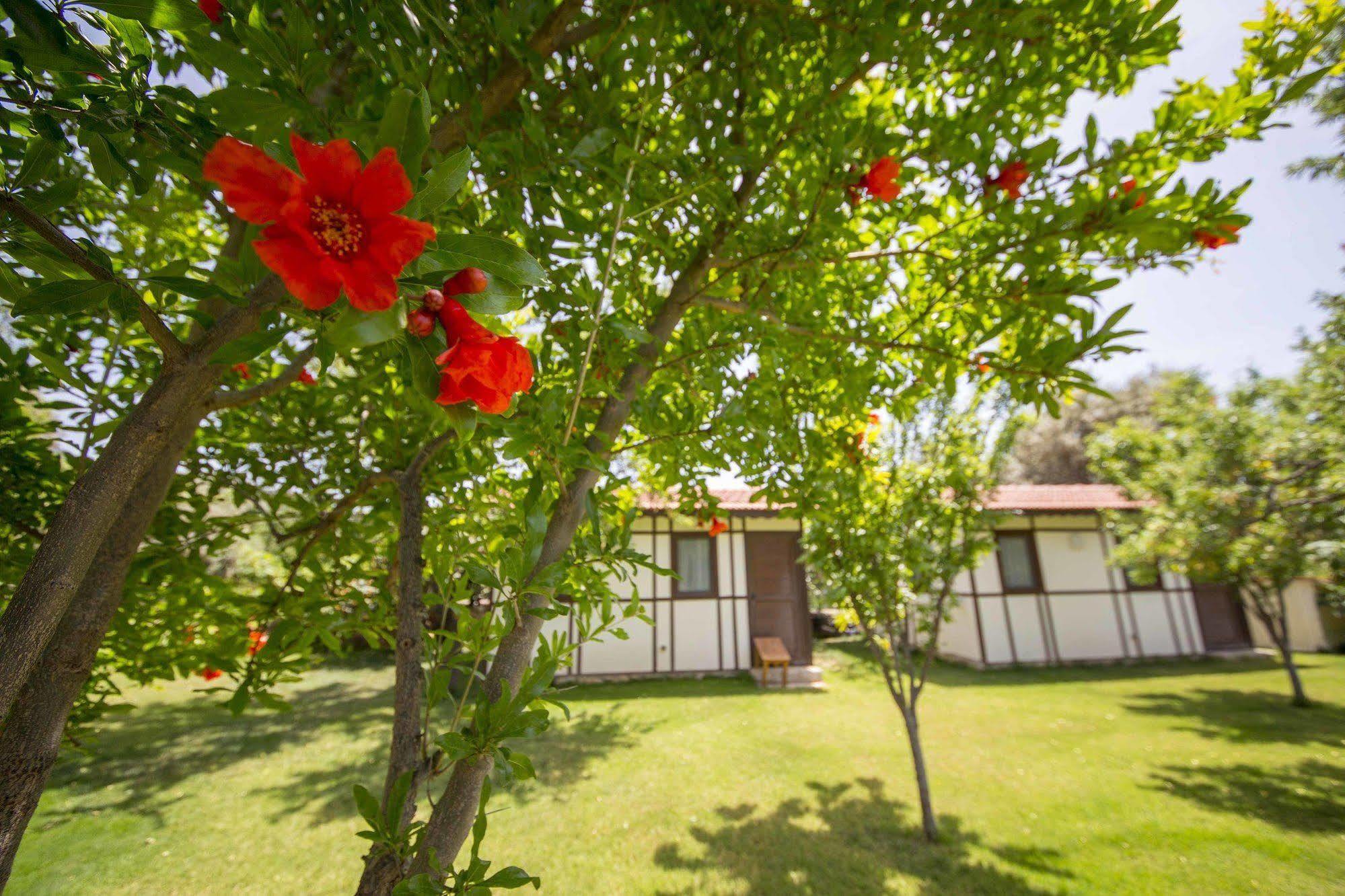 Bal Badem Bungalow Датча Екстер'єр фото